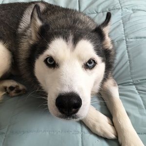 Meet your Posher, Jane